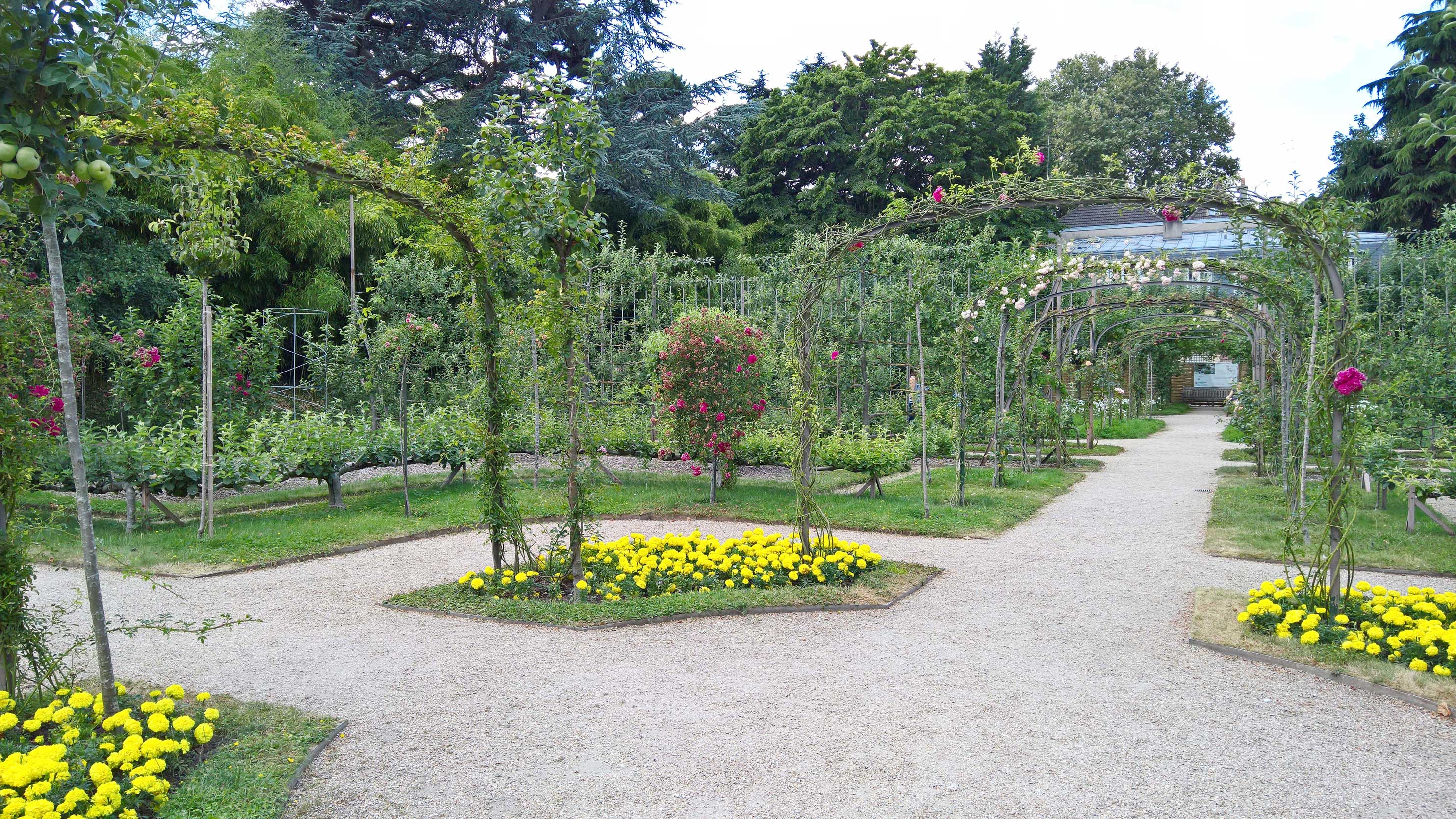 Un jardin japonais à Paris – Albert Kahn - Claire's Blog